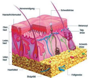 Lapex Body Contouring System